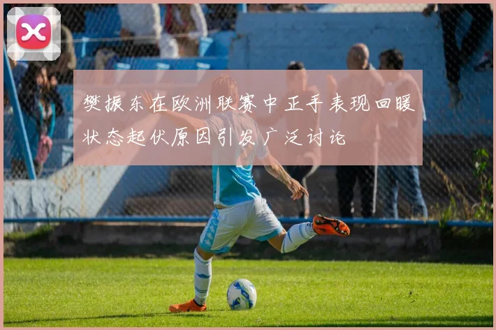 樊振东在欧洲联赛中正手表现回暖状态起伏原因引发广泛讨论